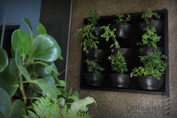 Verticallys Jardim Vertical